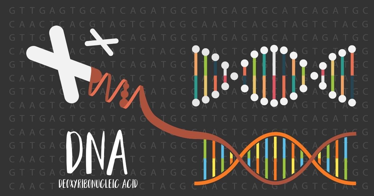herramienta de edición génica CRISPR